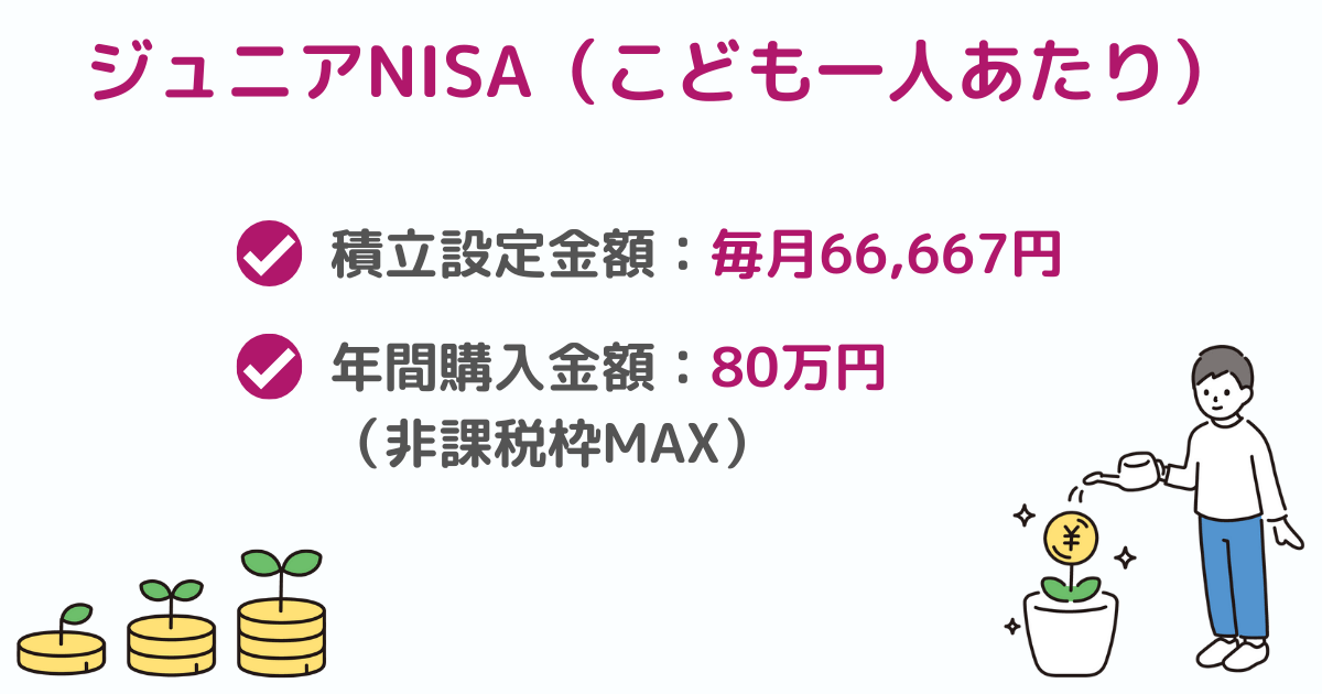 ジュニアNISAの積立設定金額と年間購入金額画像